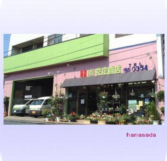 「花定商店」　（埼玉県坂戸市）の花屋店舗写真1